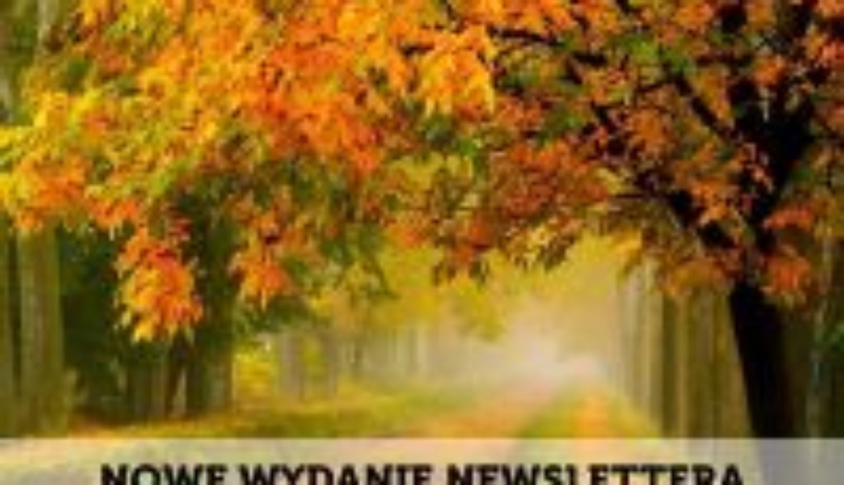 Newsletter 04/2015